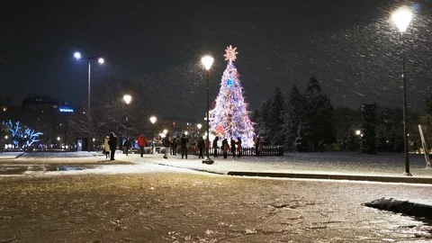 Sofia Snow 17 Christmas Tree Stock Footage 122278984