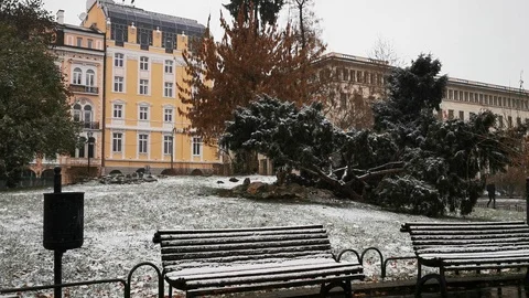 Sofia Snow 6 Center Stock Footage 122276562