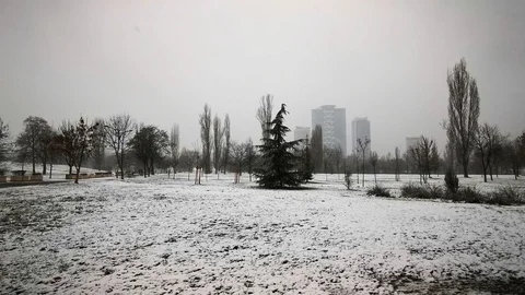 Sofia Snow 8 Park Stock Footage 122276561
