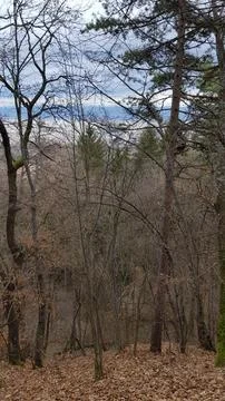 Sofia, Vitosha mountain Stock Photos