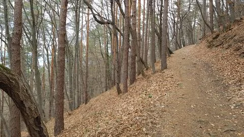 Sofia, Vitosha mountain Stock Photos