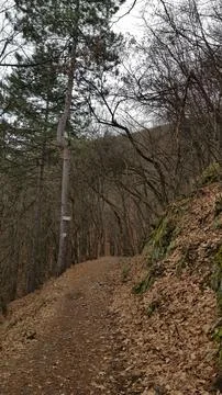 Sofia, Vitosha mountain Stock Photos