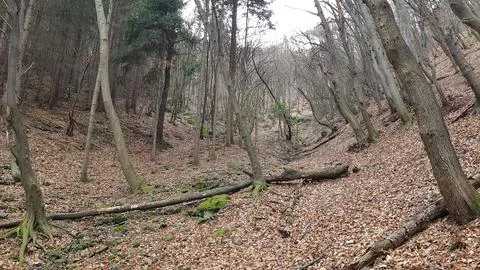 Sofia, Vitosha mountain Stock Photos