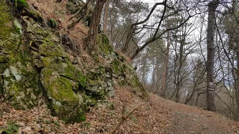 Sofia, Vitosha mountain Stock Photos