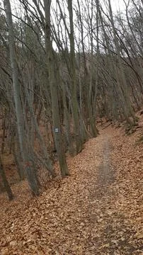 Sofia, Vitosha mountain Stock Photos