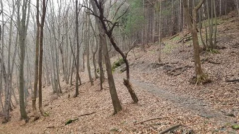 Sofia, Vitosha mountain Stock Photos