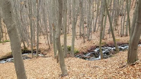 Sofia, Vitosha mountain Stock Photos