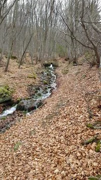 Sofia, Vitosha mountain Stock Photos