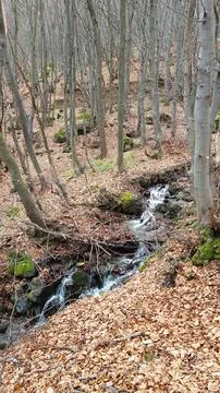 Sofia, Vitosha mountain Stock Photos