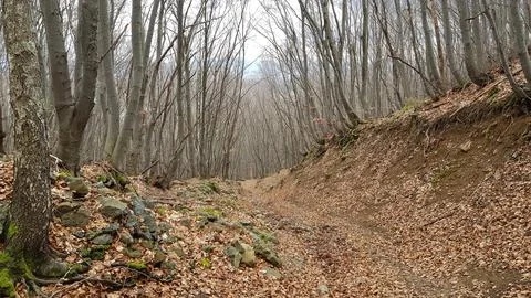 Sofia, Vitosha mountain Stock Photos