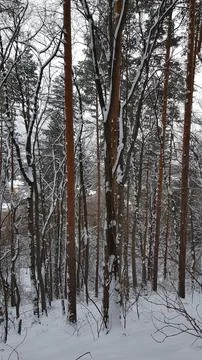 Sofia, Vitosha mountain Stock Photos