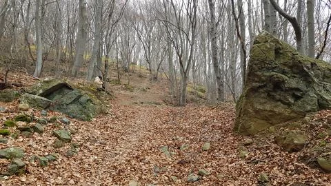 Sofia, Vitosha mountain Stock Photos