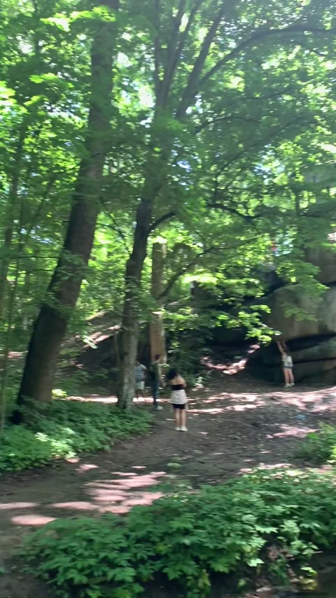 Sofievsky Park in Ukraine Stock-Footage 226171308