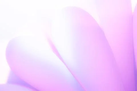 Soft abstract background with smooth flowing shapes and gentle light gradient Stock Photos