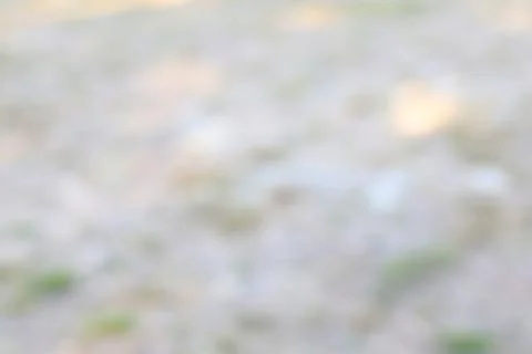 Soft abstract blur background with light patches on earth Stock Photos