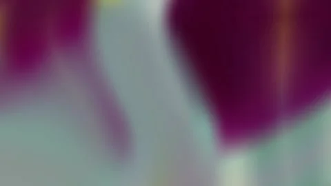 Soft Abstract Gradient Flow Background Stock Footage 336724917