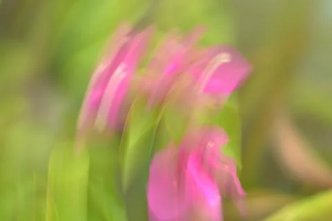 Soft Abstract Green Light Background Stock-Fotos