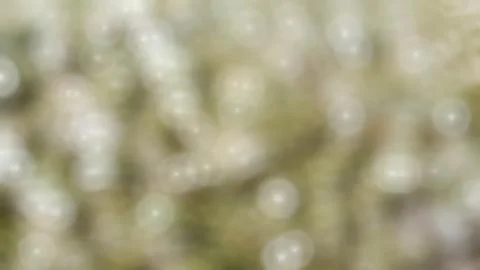 Soft Abstract Light Bokeh Background with Gentle Blur Stock Photos