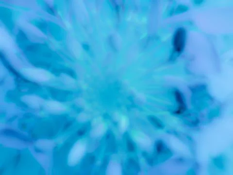Soft abstract macro texture spider flower blue cyan background blurred dreamy Fotos Stock