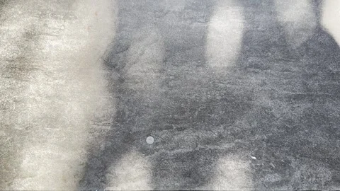 Soft Abstract Tree Shadows on Speckled Grey Textured Floor Stock Footage 346739756
