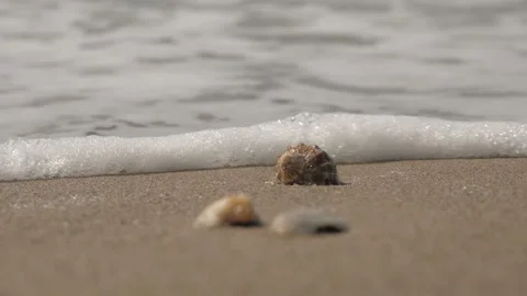Soft and calm waves with foam cover seashells on the sandy shore of the sea 動画素材 132908269