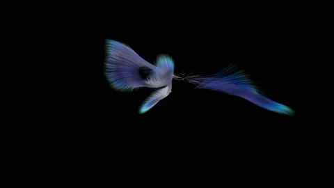 Soft and delicate blue abstract motion background.  Video stock 142280657