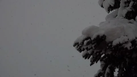Soft and light slowly falling snow Stock Footage 145813972