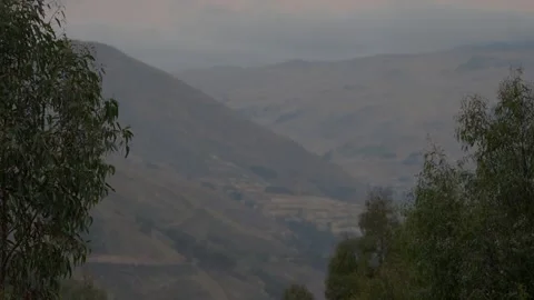 Soft atmospheric view looking between eucalyptus trees across rolling Andean 스톡 동영상 348136939