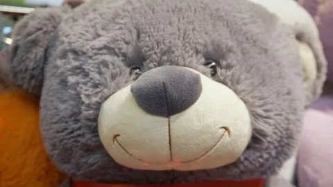 Soft bear close up. Teddy bear. Stock Footage 266964016