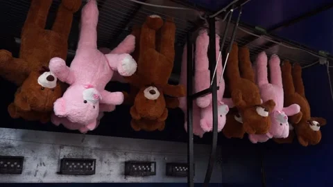 Soft bears are hanging Stock Footage 159515853