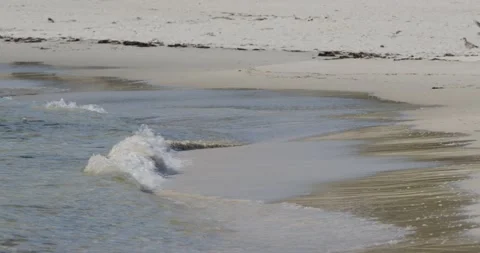 Soft beautiful sea waves on sandy beach Видео 148833417