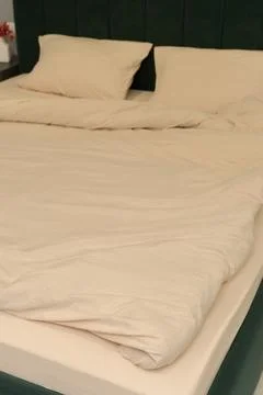 Soft beige bedding set on modern bed with green headboard and pillows 库存照片