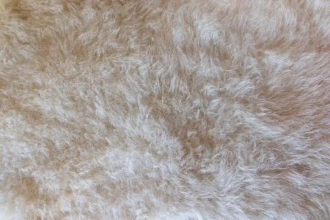 Soft beige fur texture background with fluffy fibers Foto stock