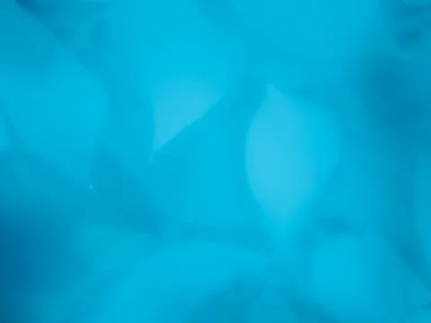 Soft blue abstract background inspired by Cornus kousa blossoms Stock Photos