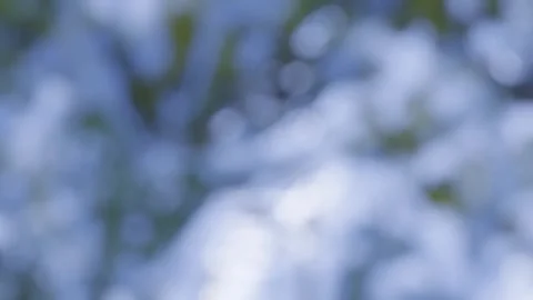 Soft blue bokeh background, slow motion blurred light spots and abstract gl.. Stock Footage 342624154