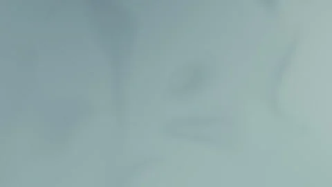 Soft blue-gray abstract gradient with smooth curves, seamless loop background. Stock Footage 309856090