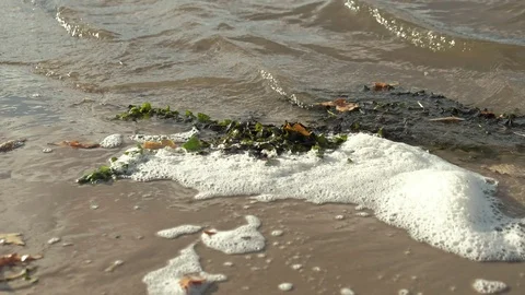 Soft Blue Ocean Wave On Sandy Beach. Background. Selective focus. Video stock 96987145