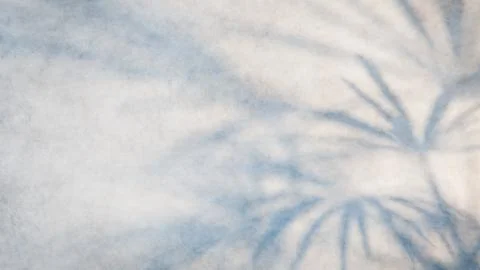 Soft blue tropical leaf shadow on neutral beige background creating relaxing spa 库存插图