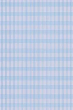 Soft blue vertical stripes form an airy abstract pattern with gentle gradie.. 스톡 일러스트