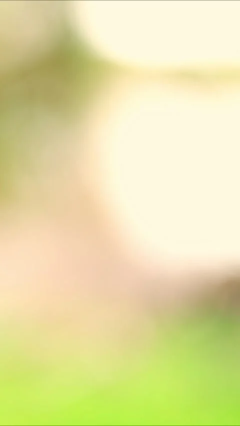Soft blurred abstract background with gentle bokeh lights in warm green Stock-Footage 340516382