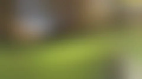 Soft Blurred Background Stock Footage 68743869