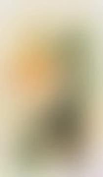 Soft blurred gradient transitions blend warm hues with cool tones. Texture .. Stock Illustration