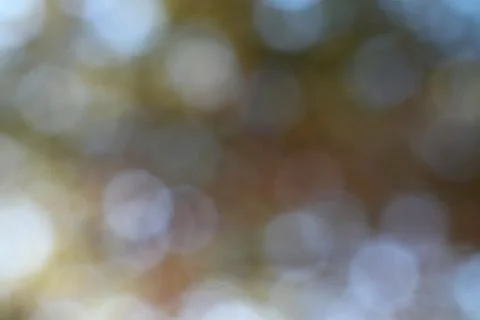 Soft blurred light circles create a dreamy natural bokeh effect background Stock Photos