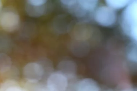 Soft blurred light spots creating natural bokeh effect Stock Photos