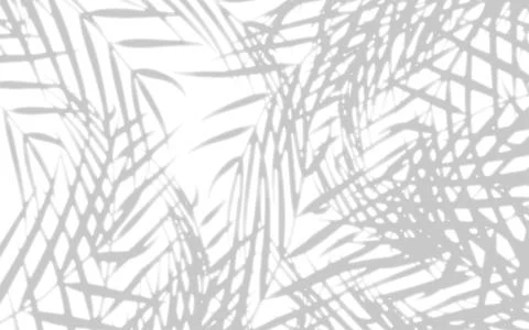 Soft Blurred Palm Leaf Tropical Background Vector Stock Illustration