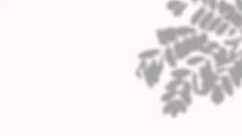 Soft blurred shadow of locust branch with small round leaflets on white bac.. 動画素材 346907370
