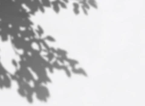 Soft Blurred Shadow Overlay with Natural Leaf Patterns for Elegant Backgrounds Stockillustratie