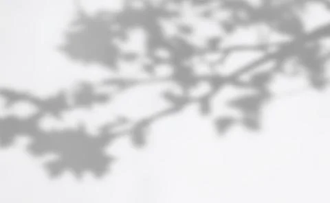 Soft Blurred Shadow Overlay with Natural Leaf Patterns for Elegant Backgrounds Illustrazione stock