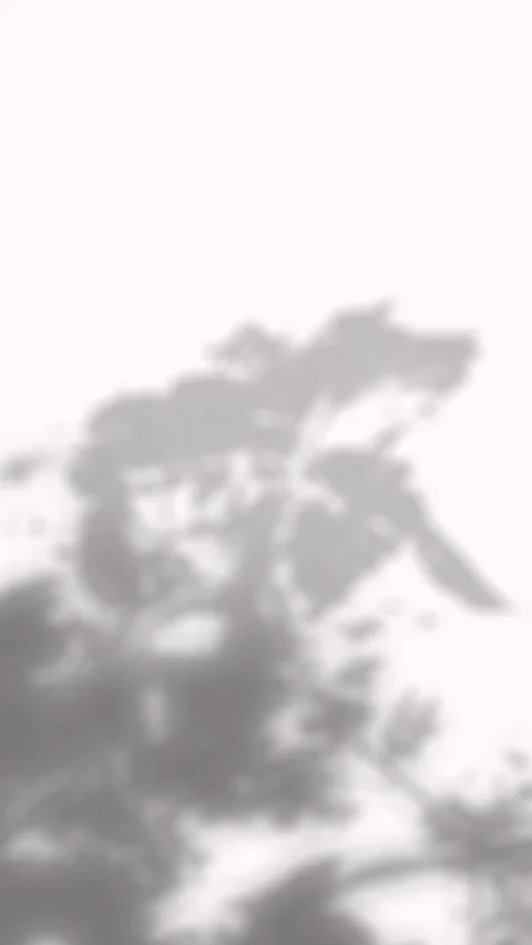 Soft blurred tree canopy shadows shifting dynamically on a clean white wall Video stock 346907579