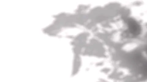 Soft blurred tree canopy shadows shifting dynamically on a clean white wall 動画素材 346907584
